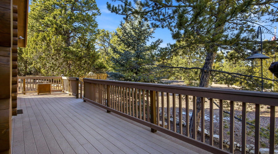 1583GreentreeCir-HeberOvergaard-AZ-4