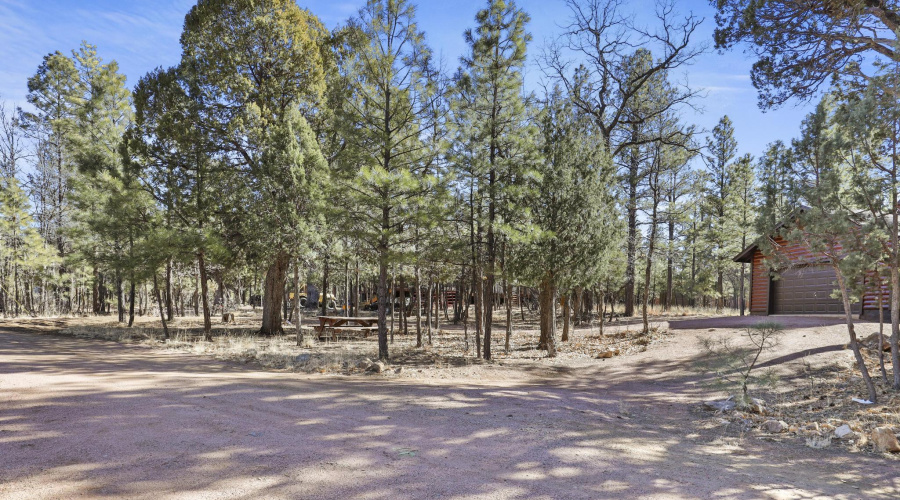 Large treed lot