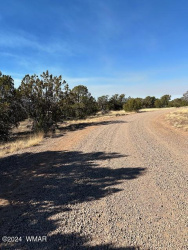 8314 Silver Creek Drive, Show Low, Arizona 85901, ,Land,For Sale,Silver Creek,253963