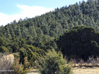 LOT 8 Red Cabin Ranch #8, Vernon, Arizona 85940, ,Land,For Sale,Red Cabin Ranch #8,259841