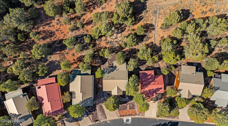 Birdseye View