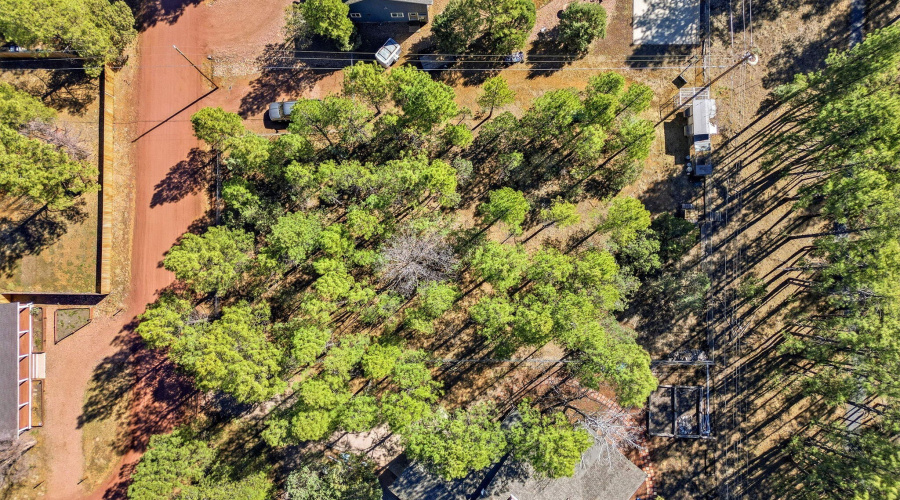 4217MohaveDr-Lakeside-AZ-9