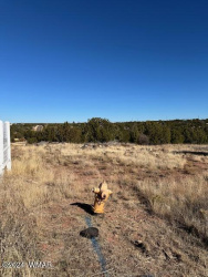 8420 Silver Creek Drive, Show Low, Arizona 85901, ,Land,For Sale,Silver Creek,253968