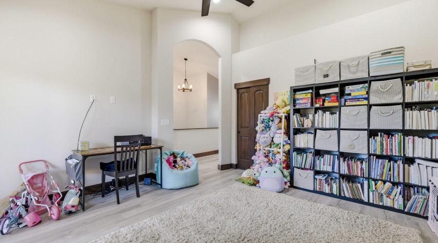 Playroom/Office