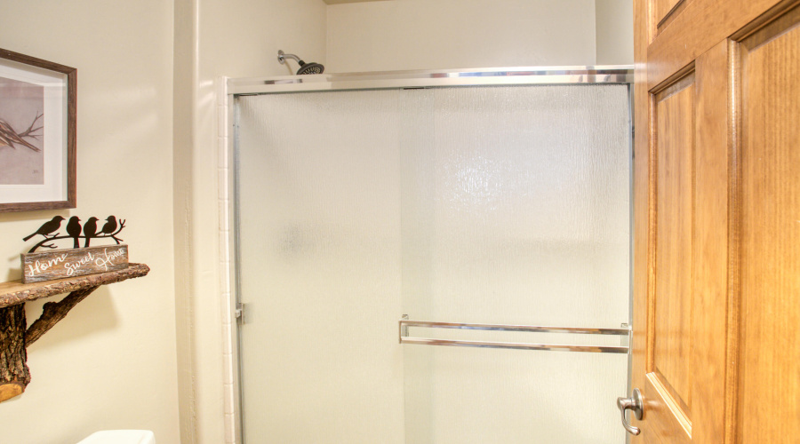 Primary Suite Bathroom Walk-in Shower