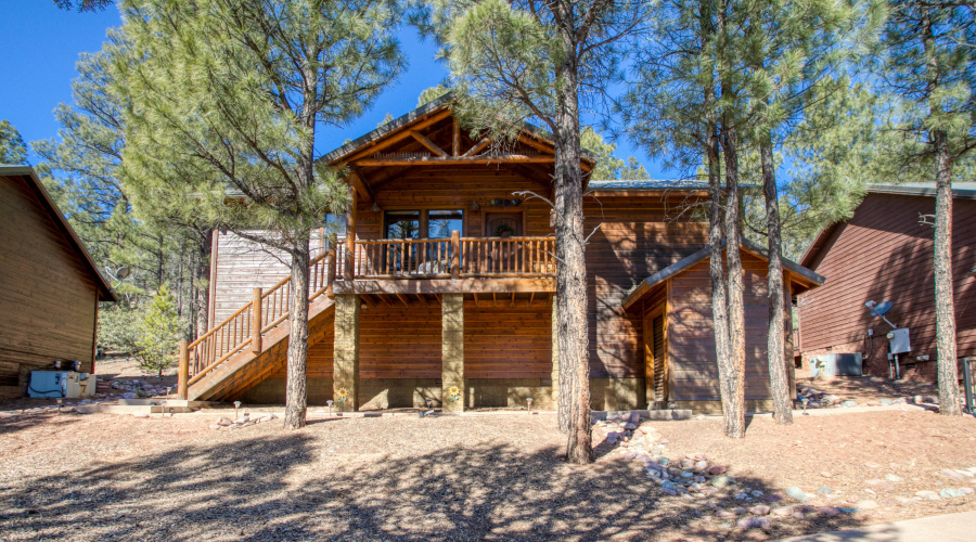 Set in the Tall Pines