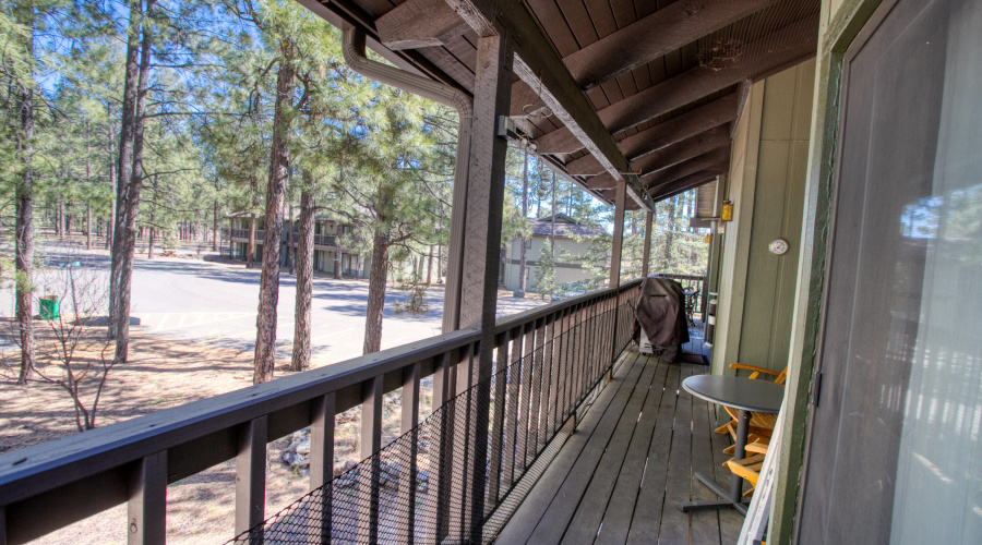Back Porch