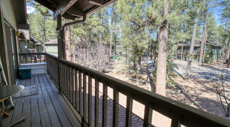 Back Porch
