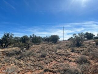 4401 Indian Bend Road, Snowflake, Arizona 85937, ,Land,For Sale,Indian Bend,259858