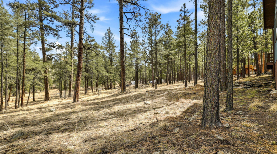 6CountyRoadN2148-Alpine-AZ-17