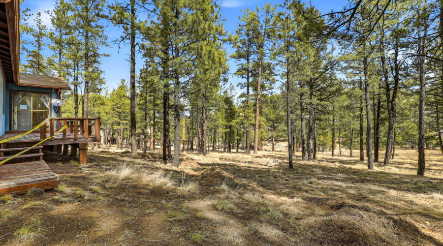 6CountyRoadN2148-Alpine-AZ-18
