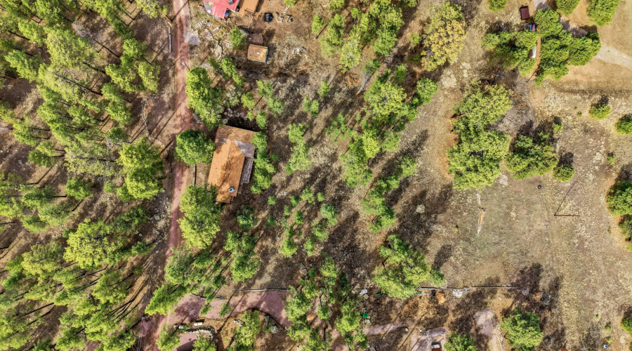6CountyRoadN2148-Alpine-AZ-21