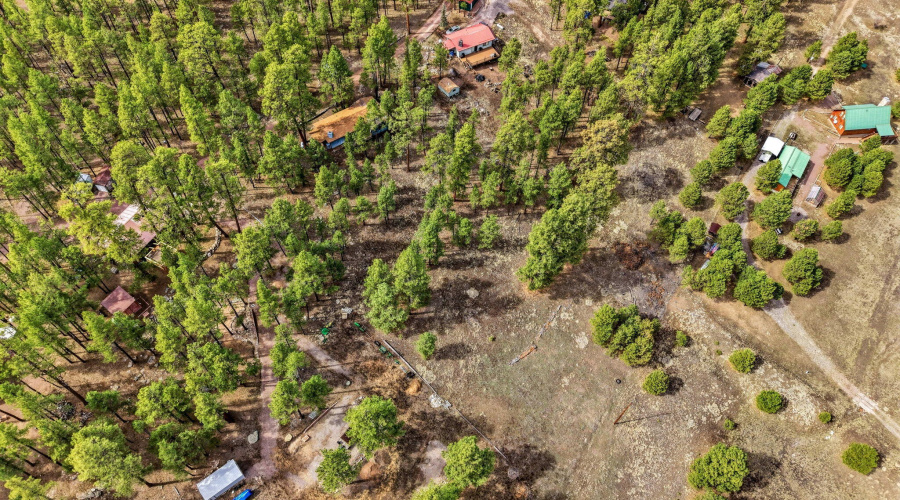 6CountyRoadN2148-Alpine-AZ-22