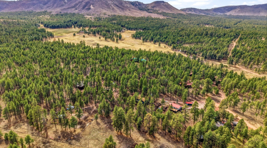 6CountyRoadN2148-Alpine-AZ-24