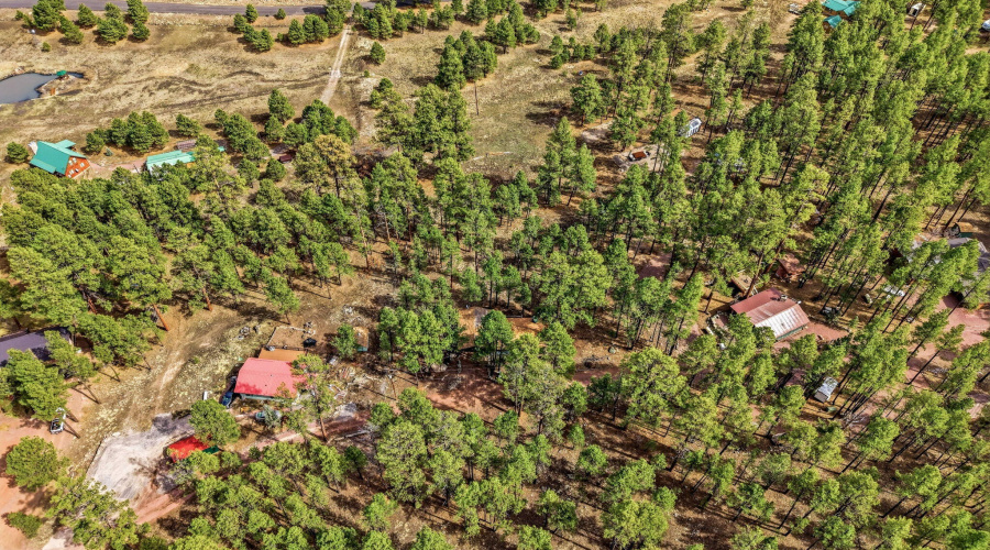 6CountyRoadN2148-Alpine-AZ-26
