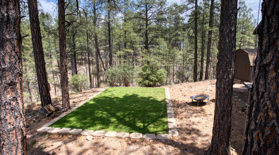 Off back deck
