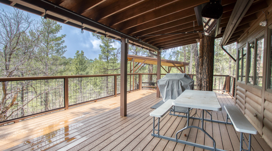 Back Deck