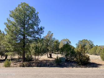 3344 Stone Bridge Trail, Heber, Arizona 85928, ,Land,For Sale,Stone Bridge,259889