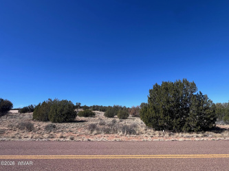 3920 Freeman Hollow Road, Snowflake, Arizona 85937, ,Land,For Sale,Freeman Hollow,259884