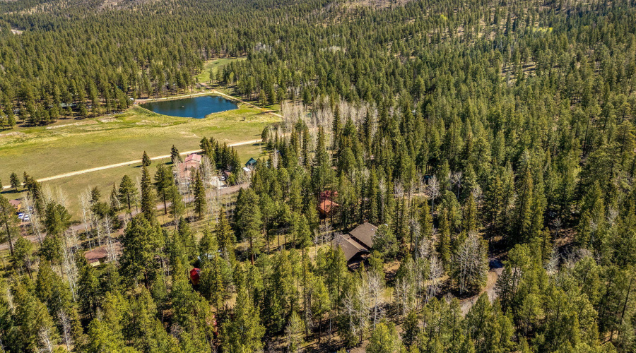 AERIAL 1