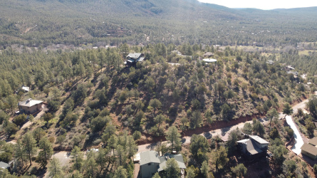 165 Portal Drive, Pine, Arizona 85544, ,Land,For Sale,Portal,93560