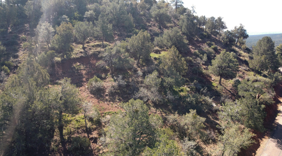 Closeup of lot