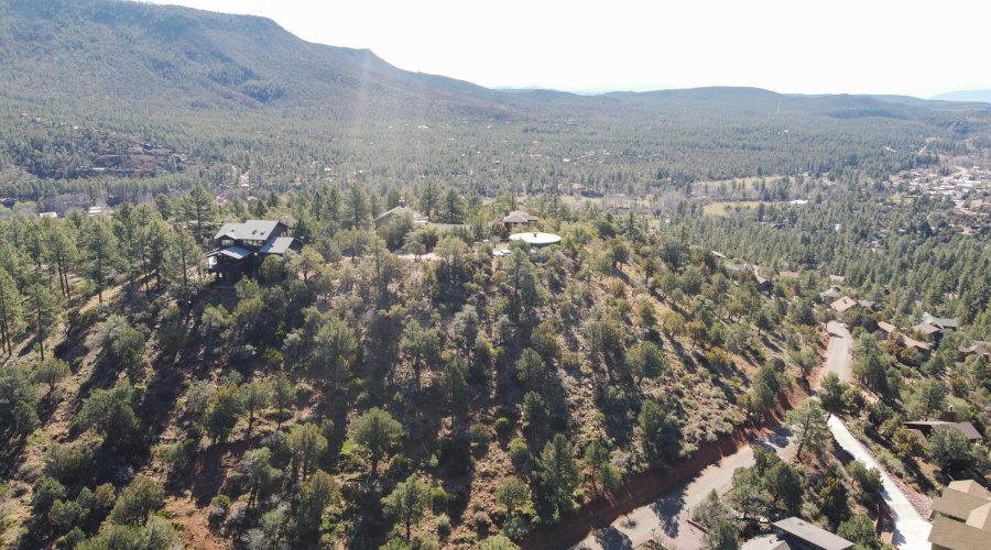 Pine Views and Neighbors