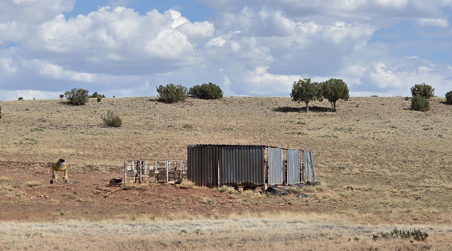 Horse Corral