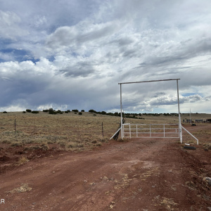Front Gate