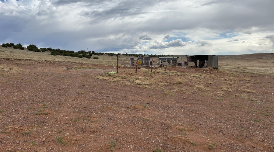 Horse Corral