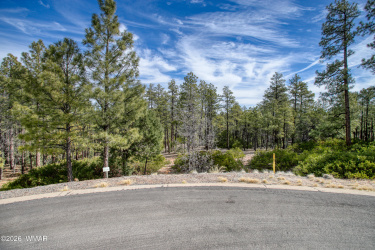 2245 Columbine Court, Show Low, Arizona 85901, ,Land,For Sale,Columbine,259915