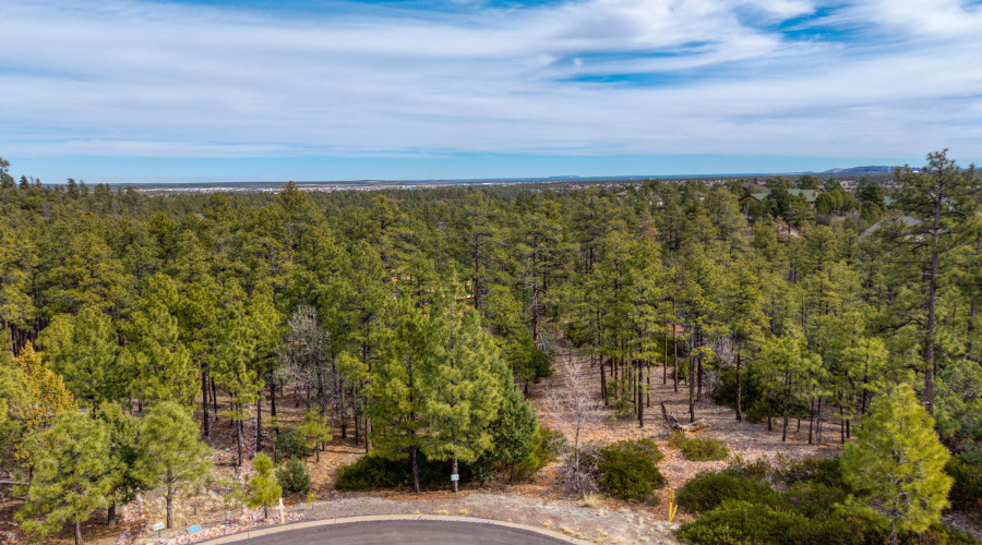 PaxmanPh_DJI_20260303213325_0228_D
