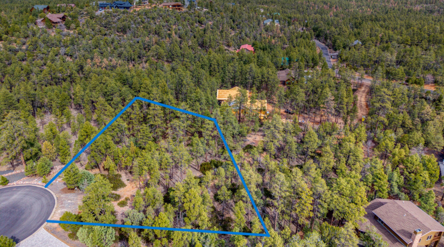 Sierra pines lot outlined