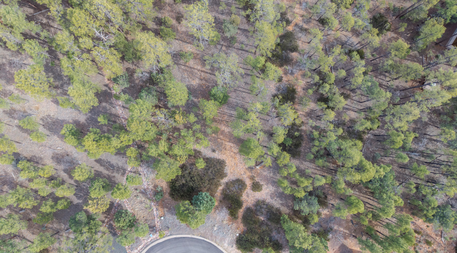 DJI_20260303213339_0232_D-HDR