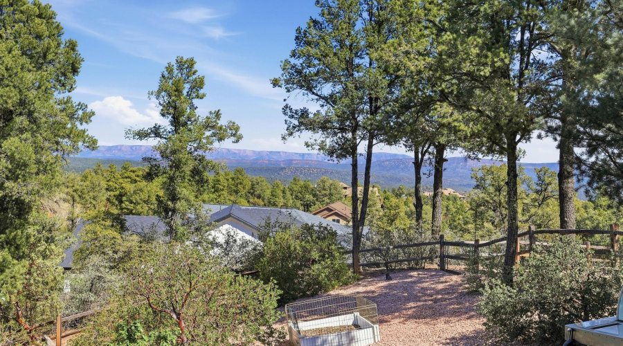 Back Mountain Views