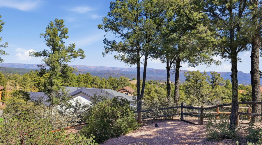 Back Mountain Views