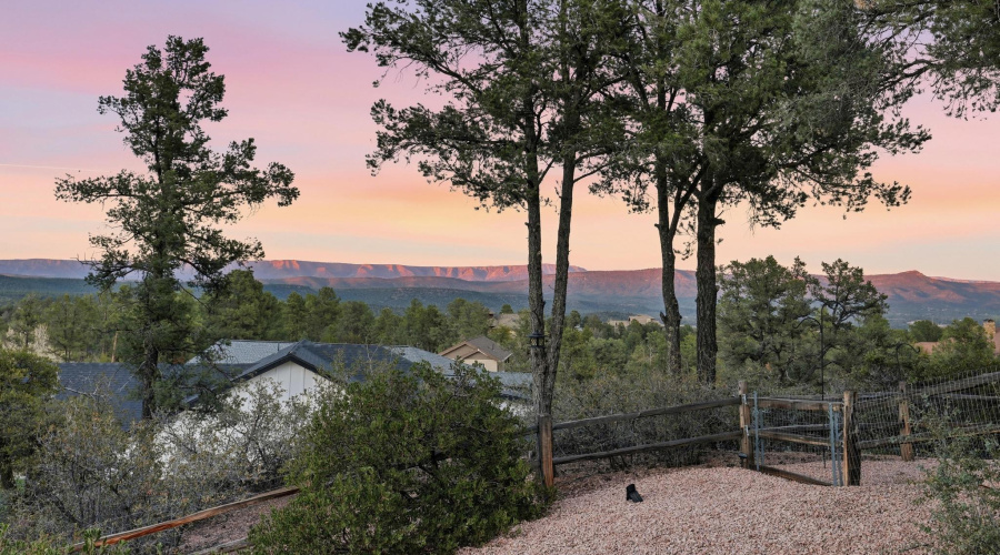 Back Mountain Views