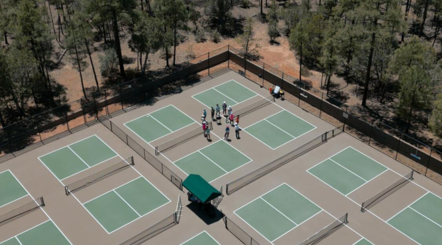 pickleballcou