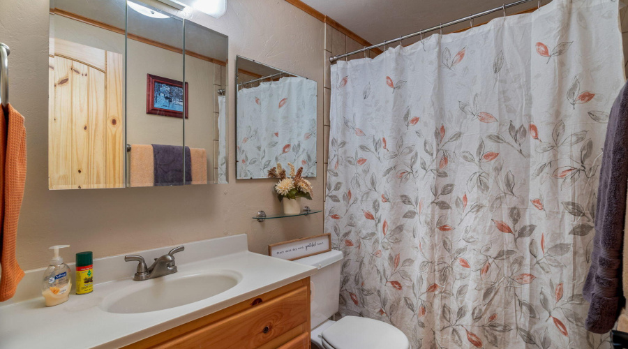 Downstairs Bathroom