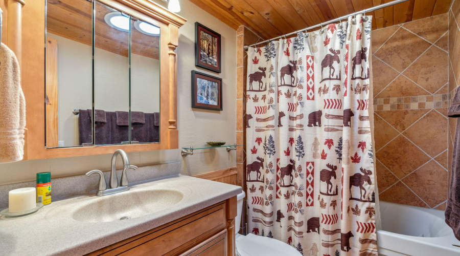 Downstairs Bathroom