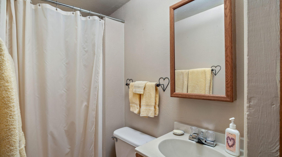 Upstairs Bathroom