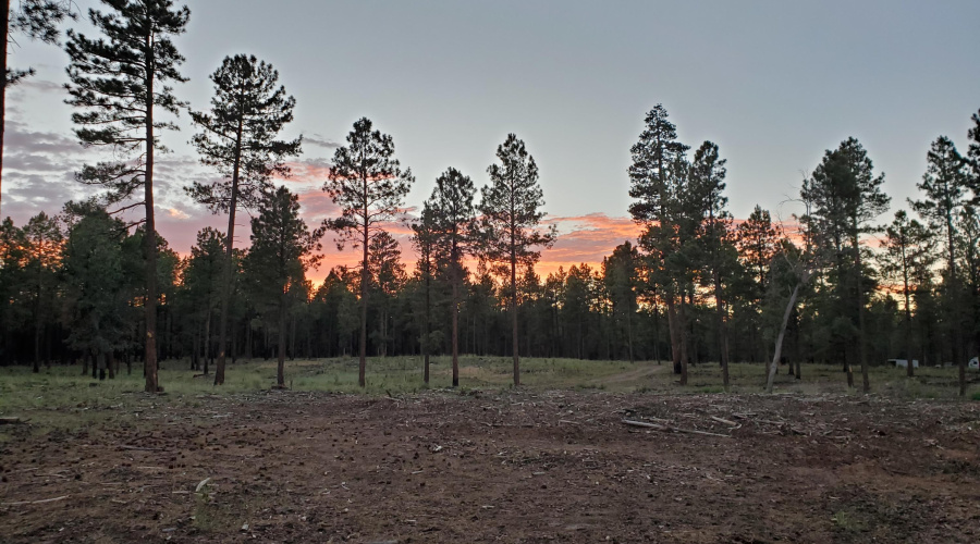 HJ Ranch