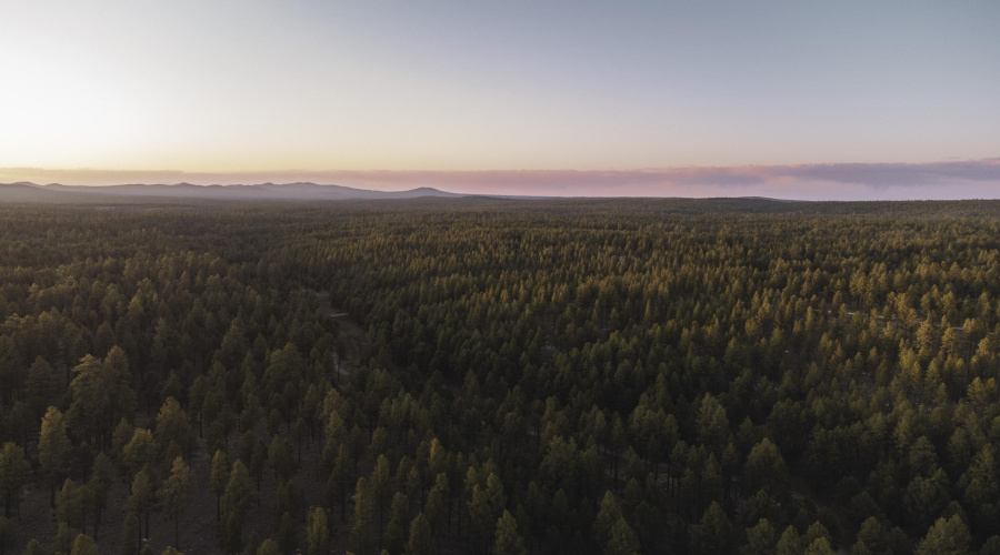 DJI_0768