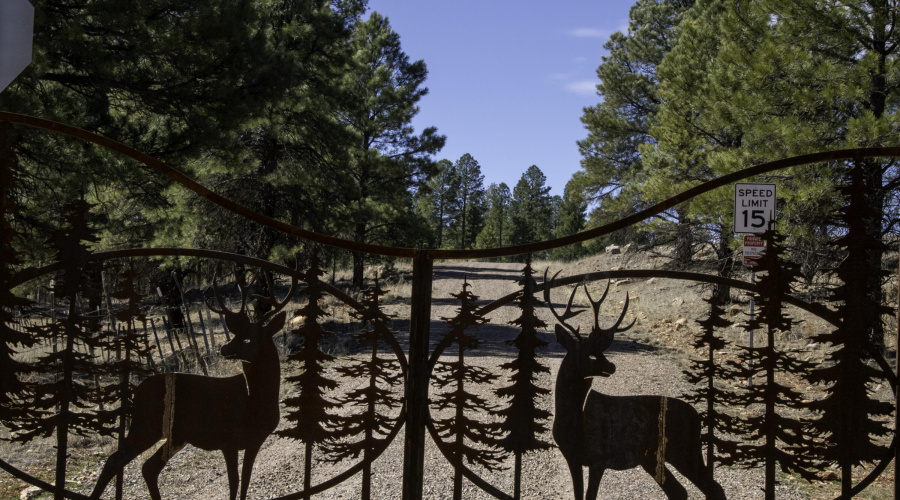 Gated Community