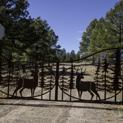 7770 Forest Service 122 Road, Happy Jack, Arizona 86024, ,Land,For Sale,Forest Service 122,93572