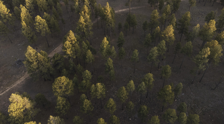 DJI_0758