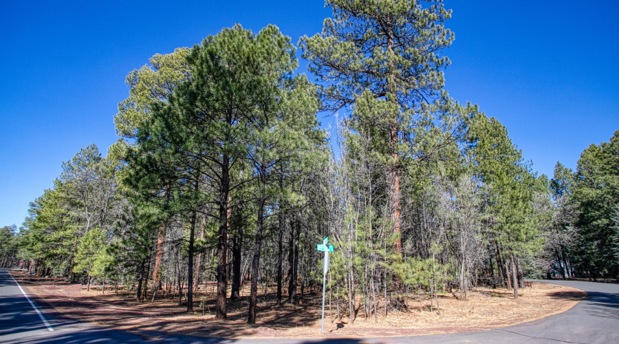 4250 Branding Iron Loop