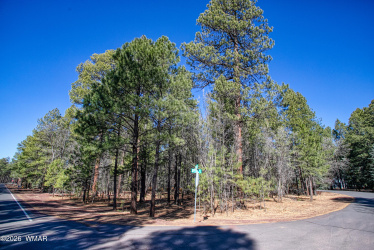 4250 Branding Iron Loop, Pinetop, Arizona 85935, ,Land,For Sale,Branding Iron,259924