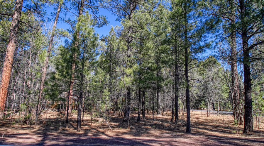 4250 Branding Iron Loop