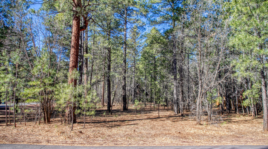 4250 Branding Iron Loop